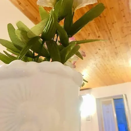 Ai Pupi Siciliani Holiday home Palermo